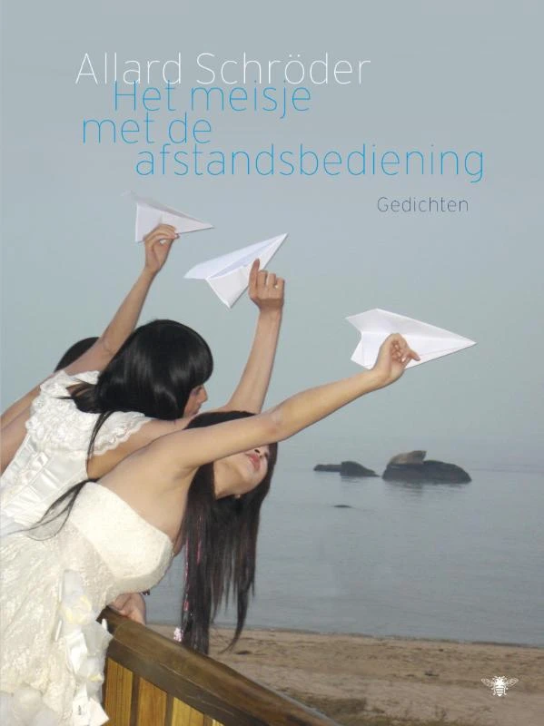 Het meisje met de afstandsbediening – Allard Schröder – boek cover