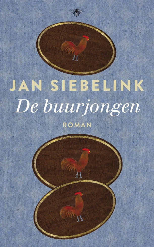 De buurjongen – Jan Siebelink – boek cover