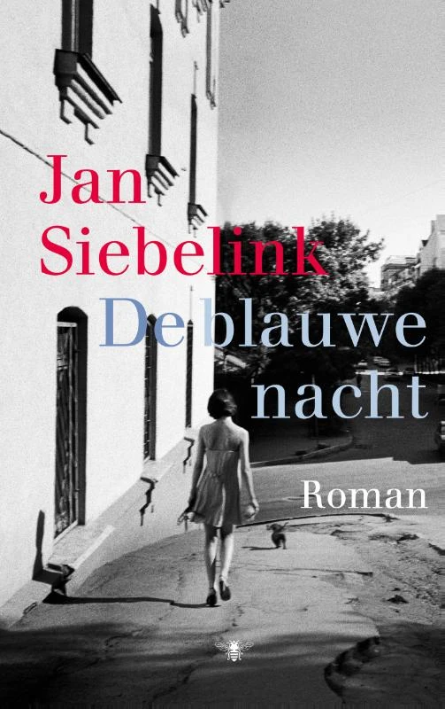 De blauwe nacht – Jan Siebelink – boek cover