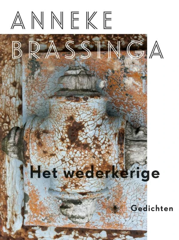 Het wederkerige – Anneke Brassinga – boek cover