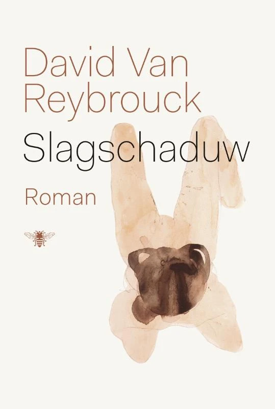 Slagschaduw – David Van Reybrouck – boek cover