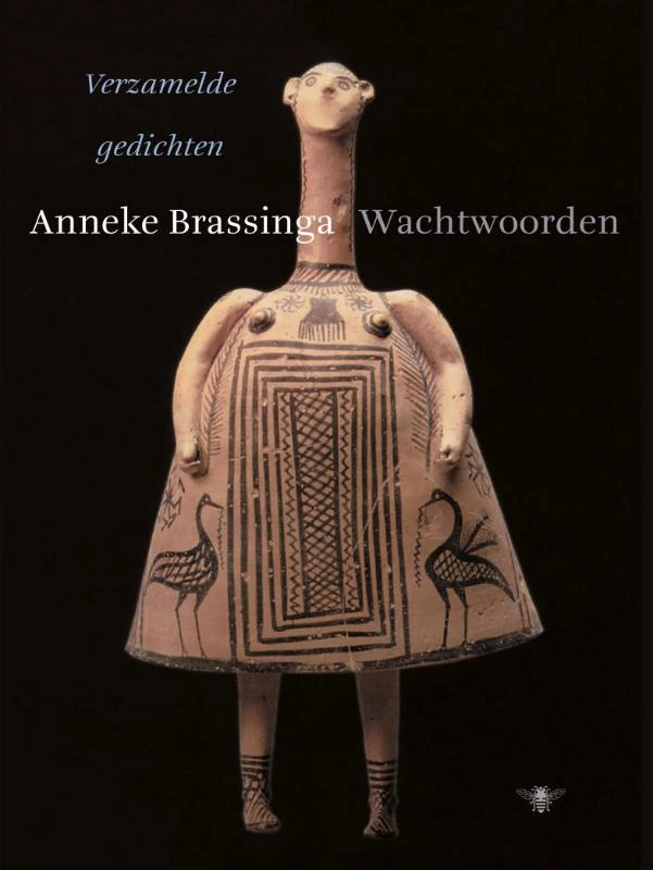 Wachtwoorden – Anneke Brassinga – boek cover