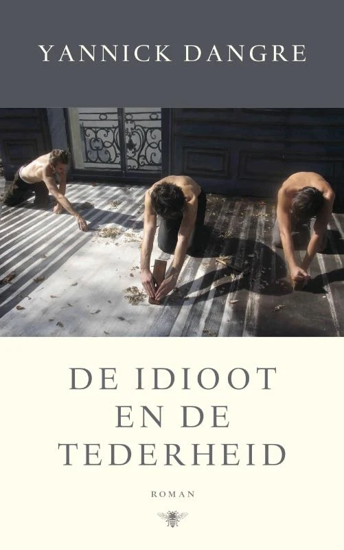 De idioot en de tederheid – Yannick Dangre – boek cover