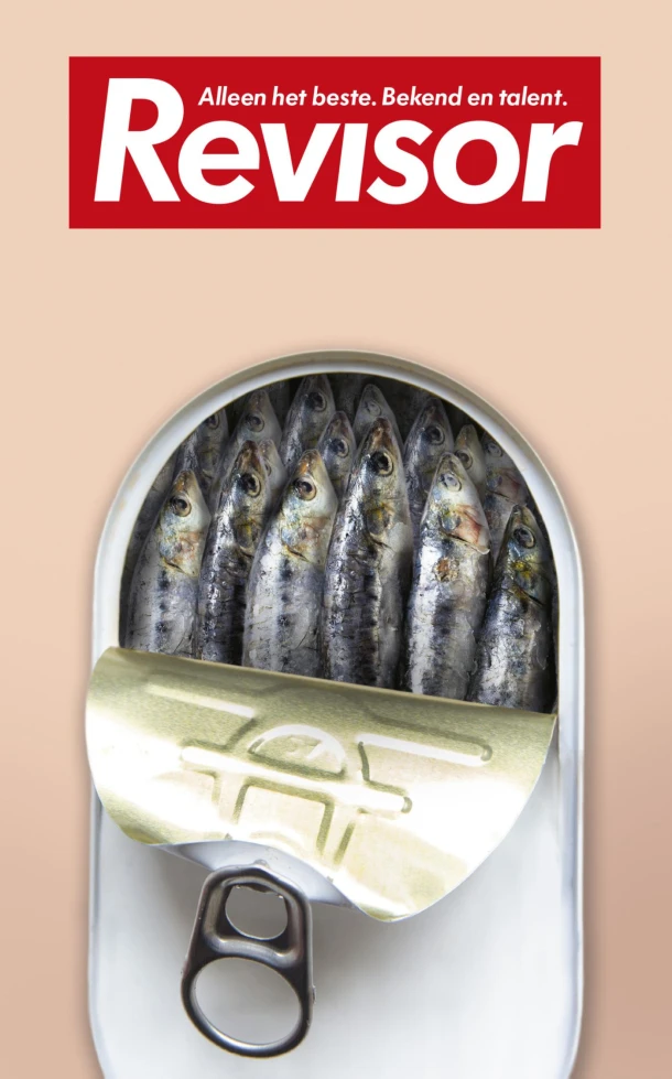 Revisor 11 – boek cover