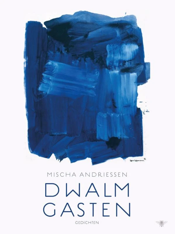 Dwalmgasten – Mischa Andriessen – boek cover