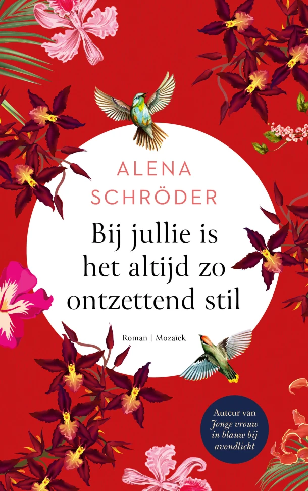 Bij jullie is het altijd zo ontzettend stil – Alena Schröder – boek cover