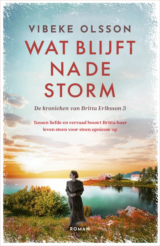 Wat blijft na de storm – Vibeke Olsson – boek cover