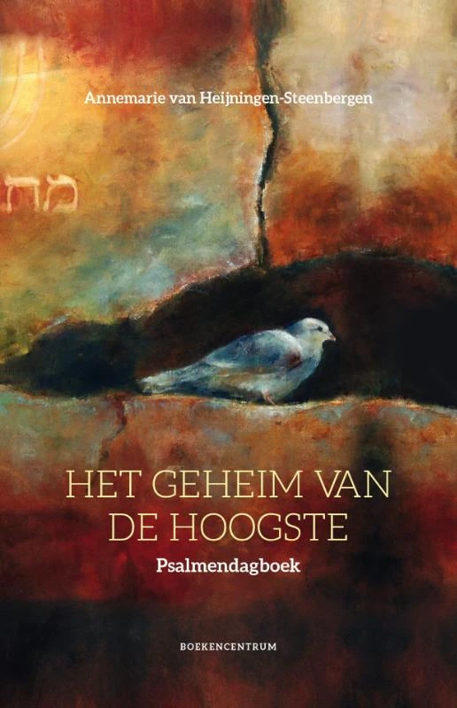 Het geheim van de hoogste – Annemarie van Heijningen-Steenbergen – boek cover