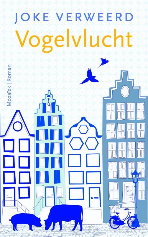 Vogelvlucht – Joke Verweerd – boek cover