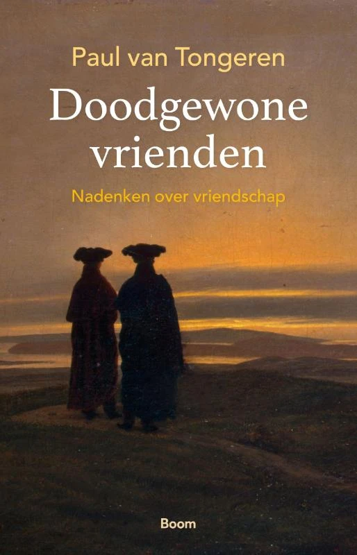 Doodgewone vrienden – Paul van Tongeren – boek cover