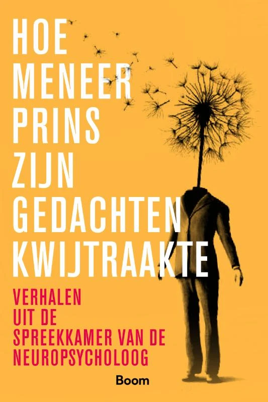 Hoe meneer Prins zijn gedachten kwijtraakte – Helen Anema – boek cover