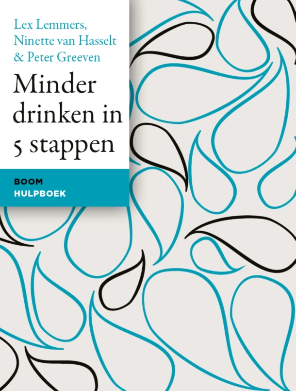 Minder drinken in 5 stappen – Lex Lemmers – boek cover
