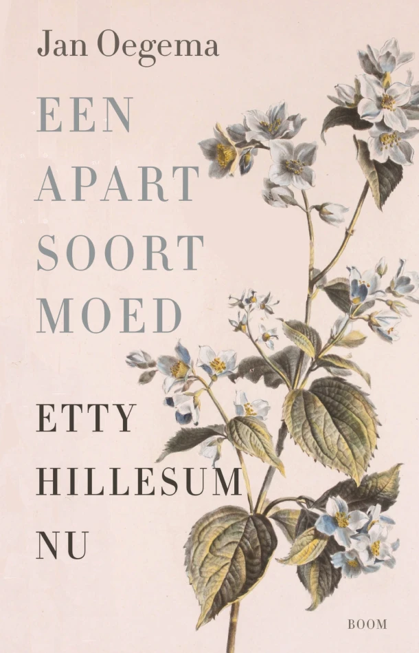 Een apart soort moed – Jan Oegema – boek cover