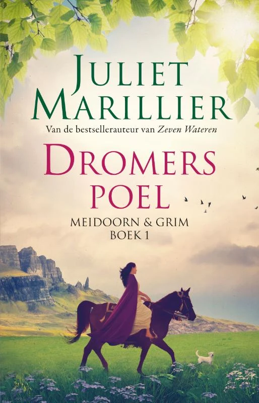 Dromerspoel – Juliet Marillier – boek cover