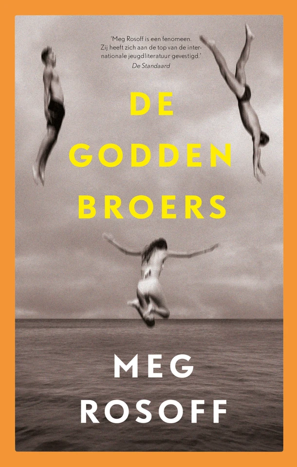 De Godden broers – Meg Rosoff – boek cover