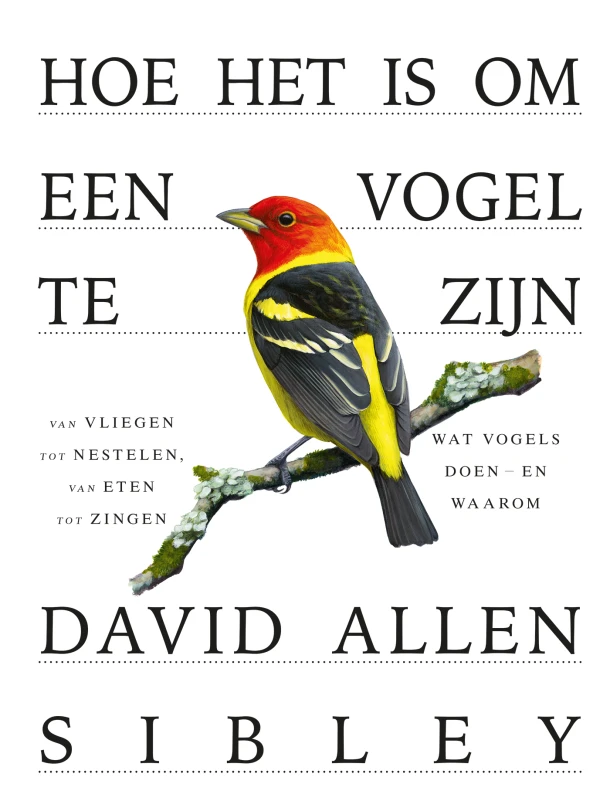 Hoe het is om een vogel te zijn – David Allen Sibley – boek cover