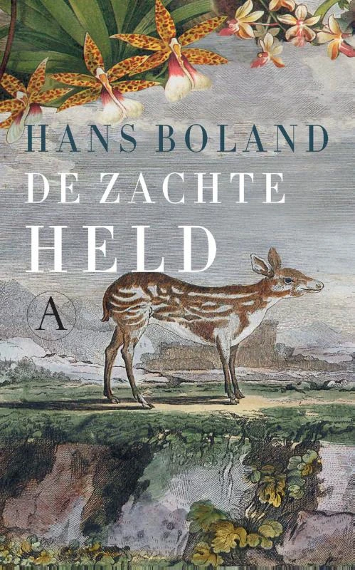 De zachte held – Hans Boland – boek cover