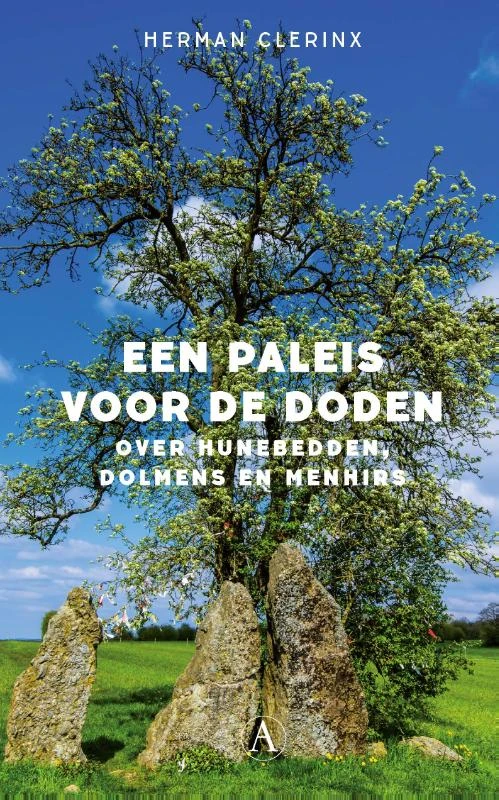 Een paleis voor de doden – Herman Clerinx – boek cover