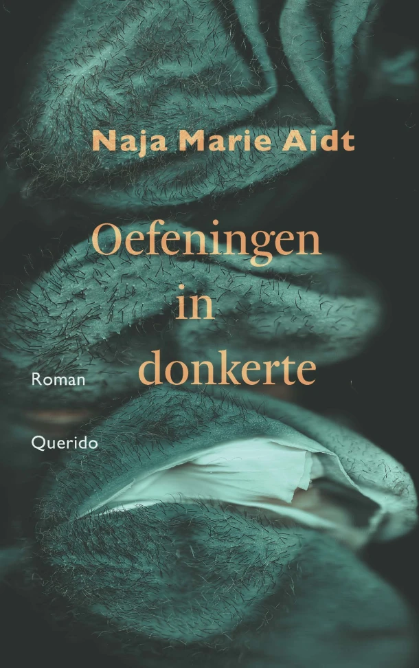 Oefeningen in donkerte – Naja Marie Aidt – boek cover
