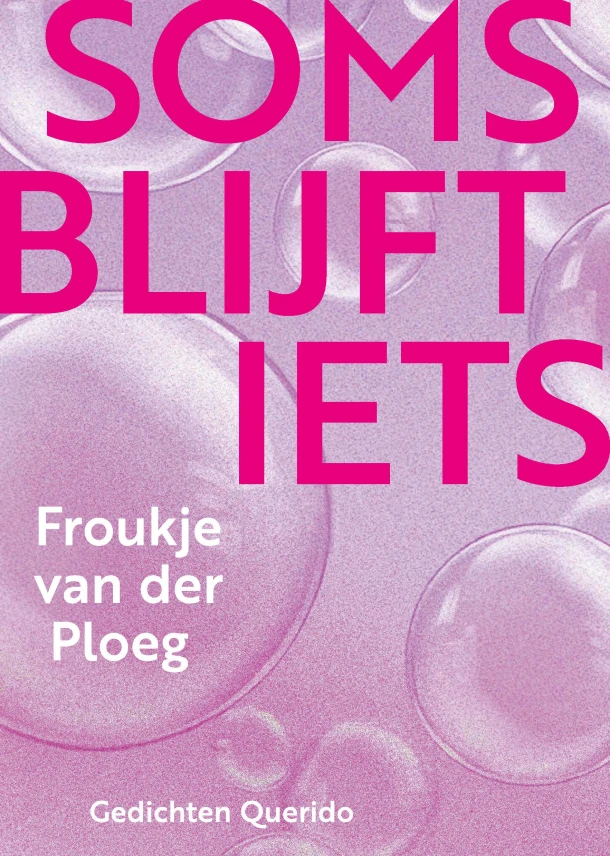 Soms blijft iets – Froukje van der Ploeg – boek cover