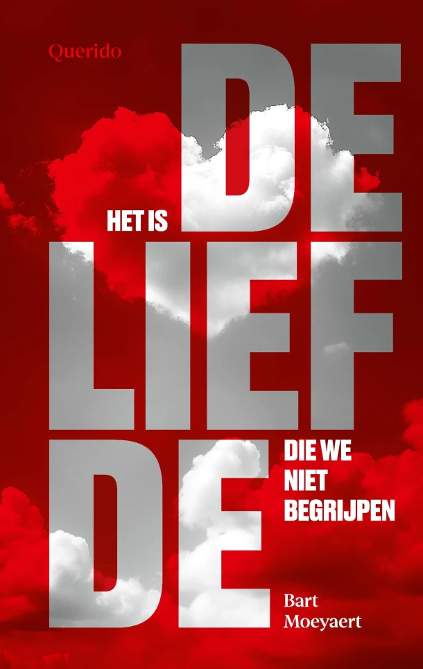 Het is de liefde die we niet begrijpen – Bart Moeyaert – boek cover