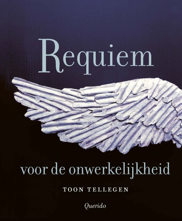 Requiem voor de onwerkelijkheid – Toon Tellegen – boek cover