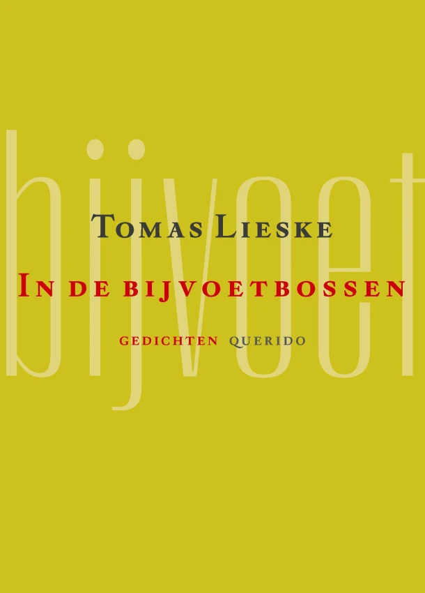 In de bijvoetbossen – Tomas Lieske – boek cover