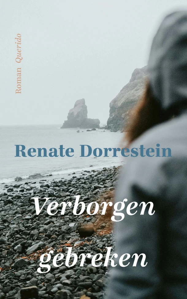 Verborgen gebreken – Renate Dorrestein – boek cover