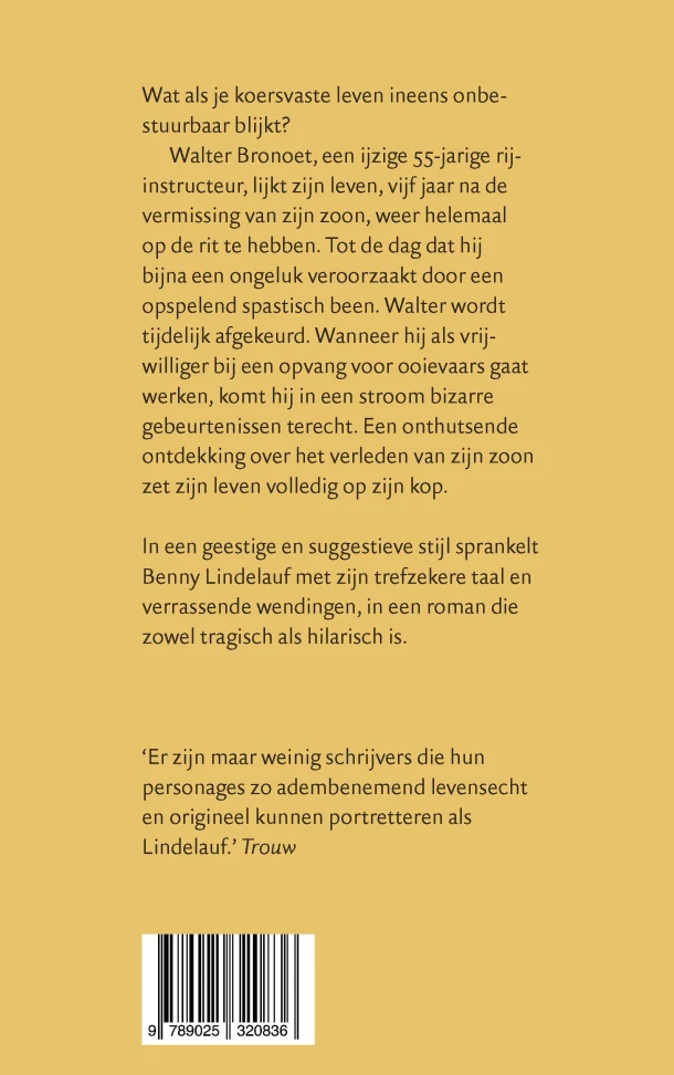 Het licht tussen onze vingers – Benny Lindelauf – boek cover