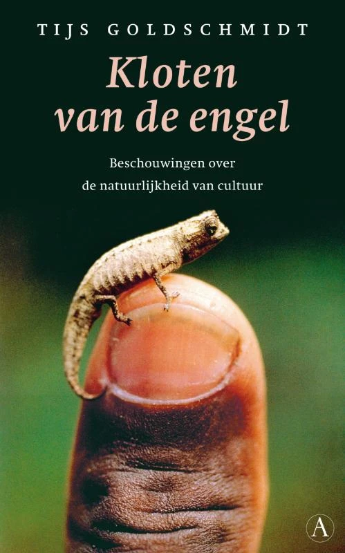 Kloten van de engel – T. Goldschmidt – boek cover