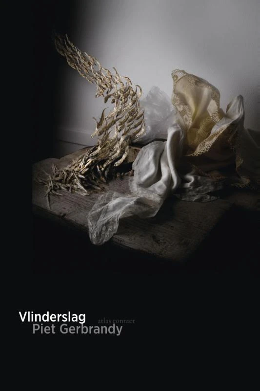 Vlinderslag – Piet Gerbrandy – boek cover