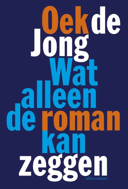 Wat alleen de roman kan zeggen – Oek de Jong – boek cover