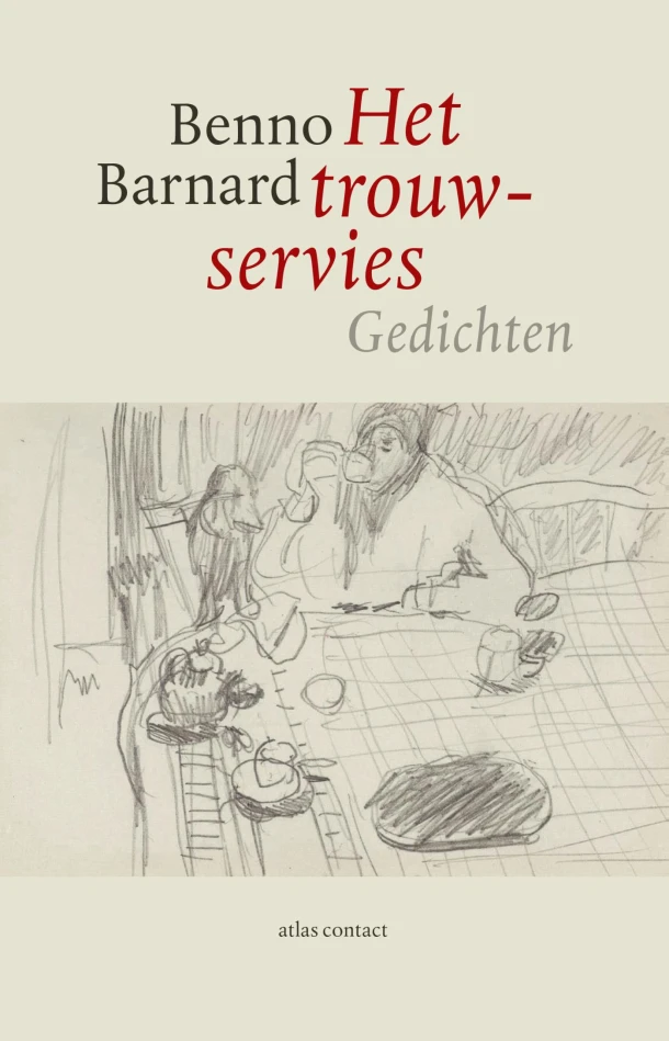 Het trouwservies ā Benno Barnard ā boek cover