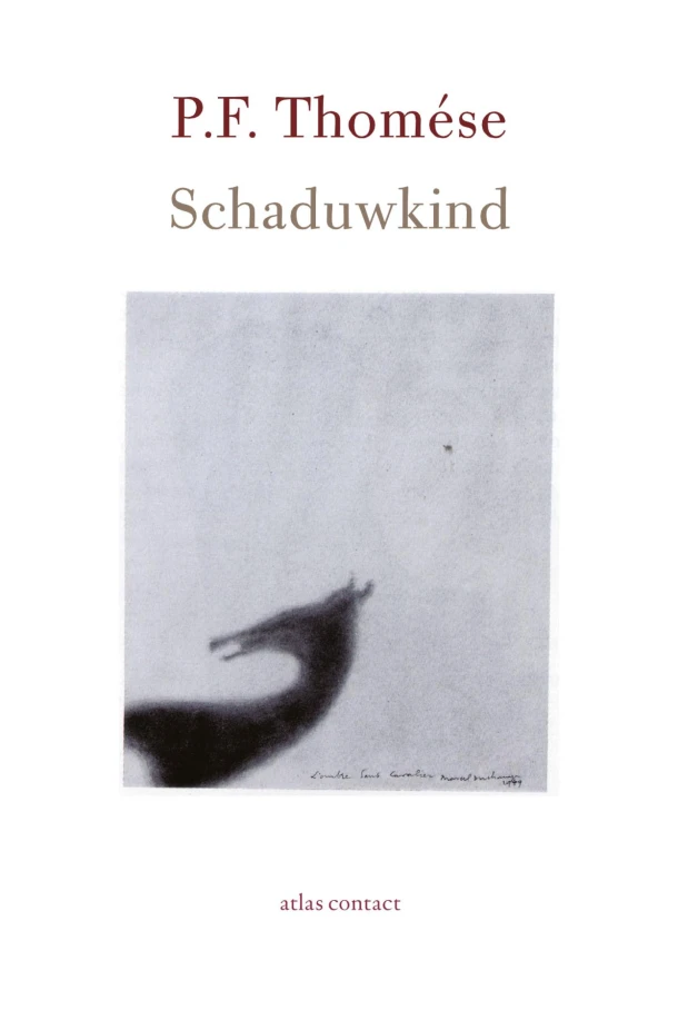 Schaduwkind – P.F. Thomése – boek cover