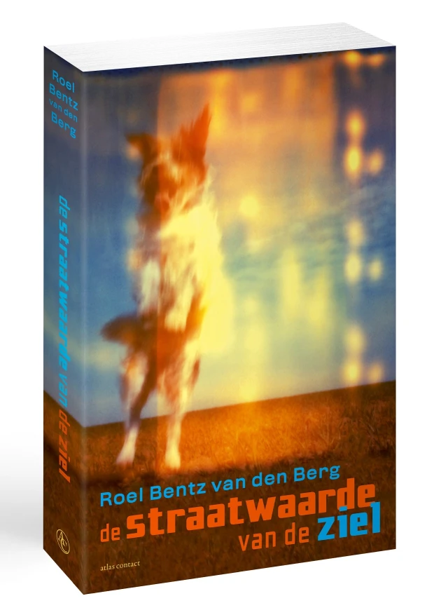 De straatwaarde van de ziel – Roel Bentz van den Berg – boek cover