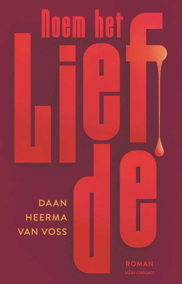 Noem het liefde – Daan Heerma van Voss – boek cover