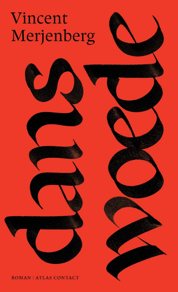 Danswoede – Vincent Merjenberg – boek cover