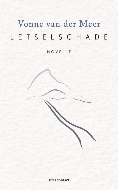 Letselschade – Vonne van der Meer – boek cover