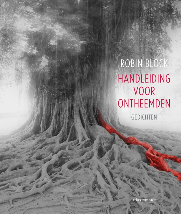 Handleiding voor Ontheemden – Robin Block – boek cover
