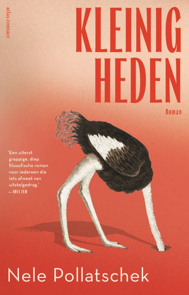 Kleinigheden – Nele Pollatschek – boek cover