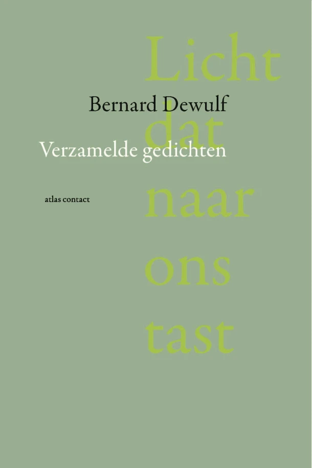 Licht dat naar ons tast – Bernard Dewulf – boek cover