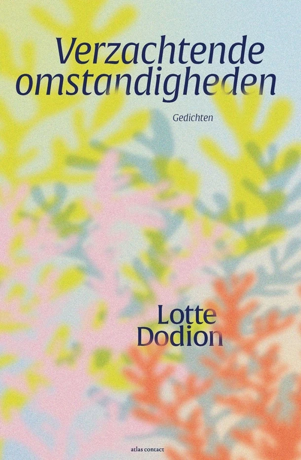 Verzachtende omstandigheden – Lotte Dodion – boek cover