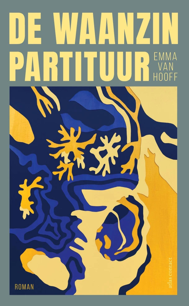 De waanzinpartituur – Emma van Hooff – boek cover