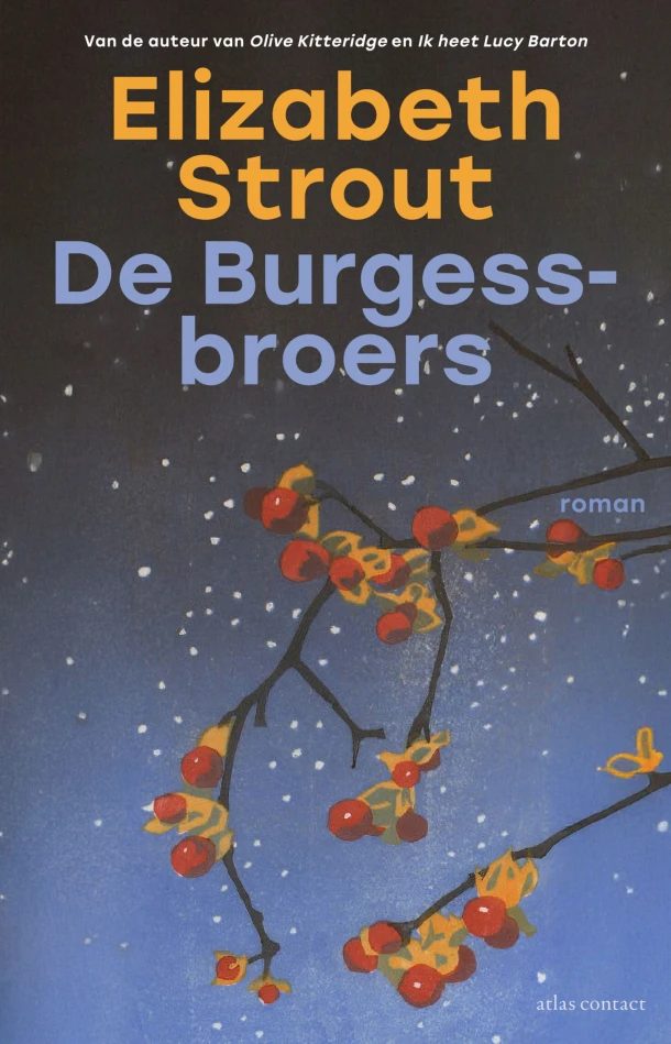 De Burgess-broers – Elizabeth Strout – boek cover