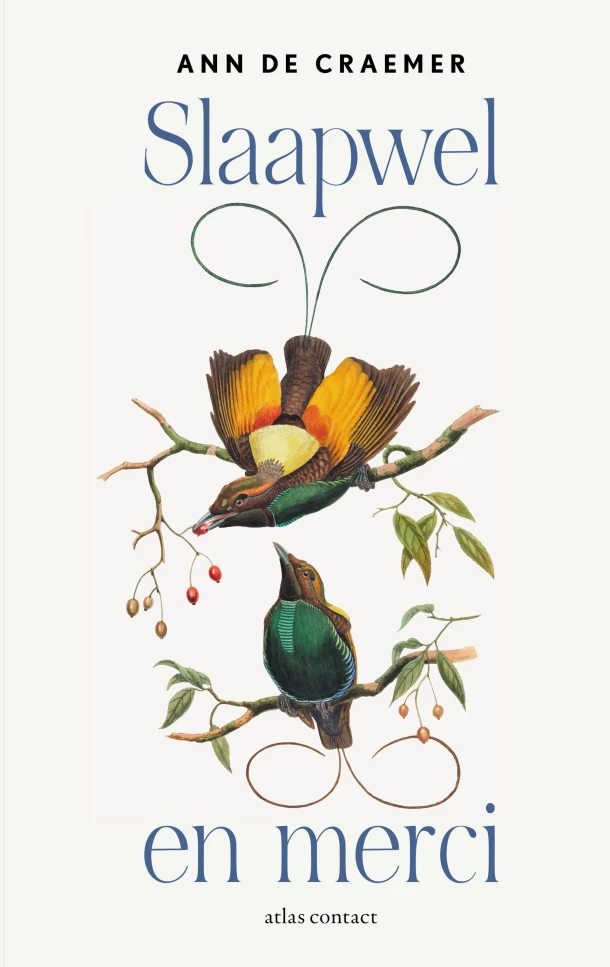 Slaapwel en merci – Ann De Craemer – boek cover