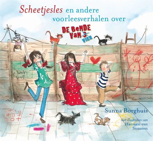 Scheetjesles – Sunna Borghuis – boek cover
