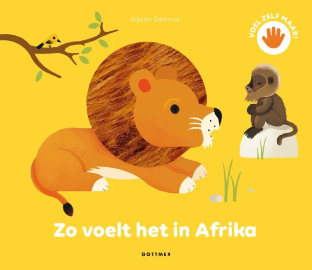 Zo voelt het in Afrika – Xavier Deneux – boek cover