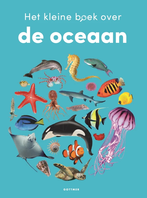 Het kleine boek over de oceaan – Samantha Gray – boek cover