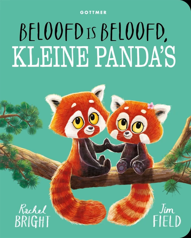 Beloofd is beloofd, kleine panda's – Rachel Bright – boek cover