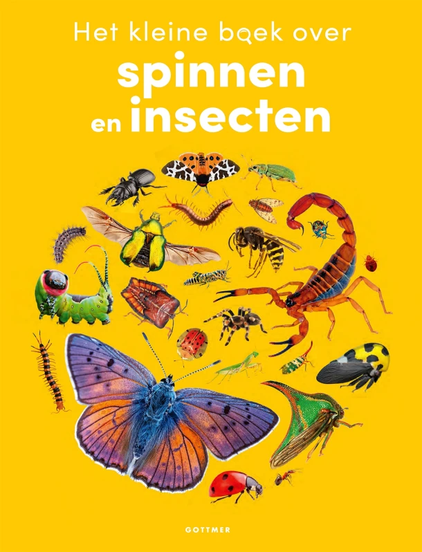 Het kleine boek over spinnen en insecten – Adam Hart – boek cover